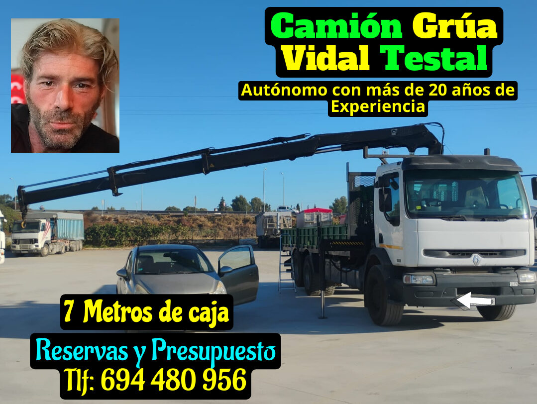 Vidal Testal – Camión Grúa en Sevilla: Alquiler y Servicios Profesionales