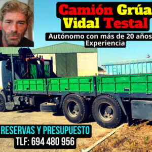 Vidal Testal Grúas El Socio Estratégico que tu Proyecto de Construcción Necesita con Alquiler de Camiones Grúa a Largo Plazo