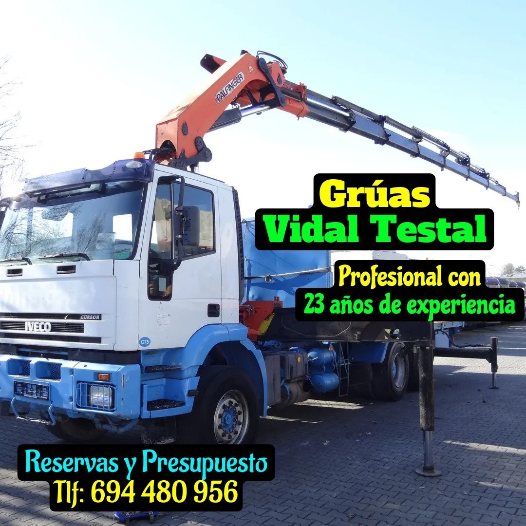 Vidal Testal Grúas