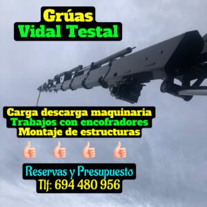 camion grua Sevilla Servicios para Zonas de Difícil Acceso con Vidal Testal