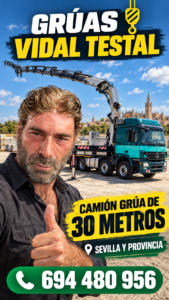 Camión de Grúas Vidal Testal con grúa Palfinger PK 72002