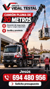 camion grua 30 metros
